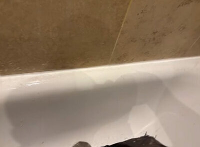 Damaged bath and tiling recorded before bathroom replacement work