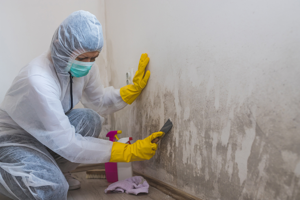 Specialist carrying out asbestos and damp removal in a Cheshire property